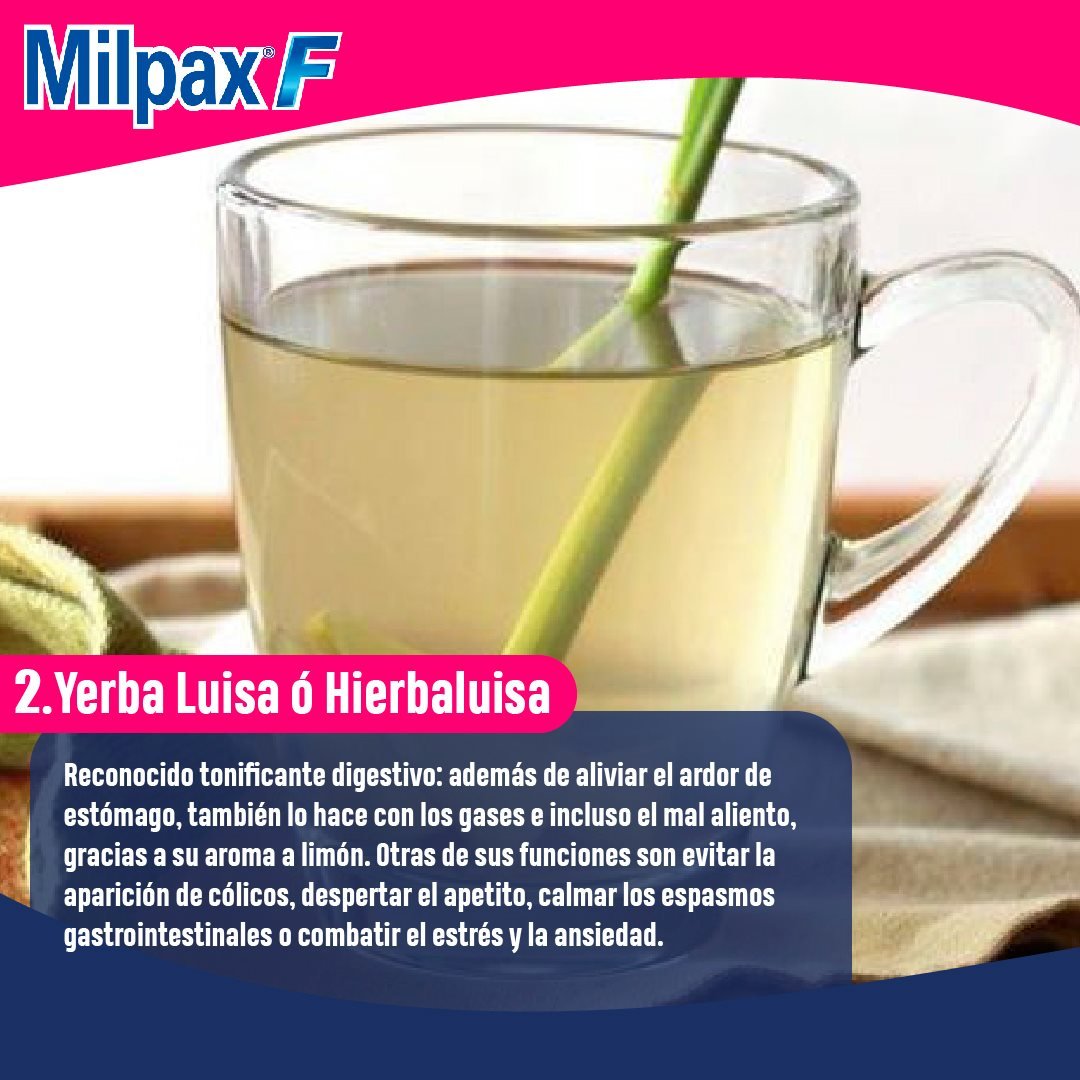 Yerba Luisa - Farmakonsuma Yerba Luisa - Farmakonsuma