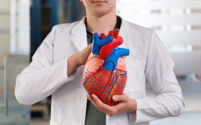 El rol del hierro en la insuficiencia cardíaca: un mineral que salva vidas