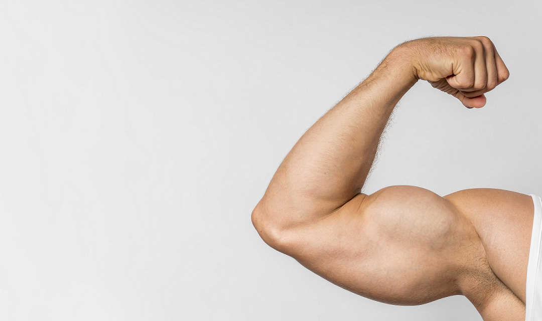 Uso del complejo B en la recuperación muscular