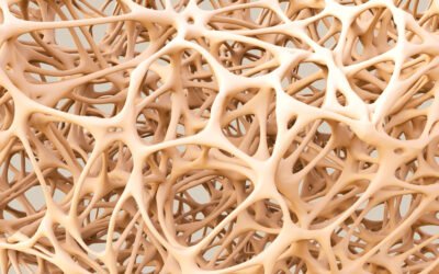 La importancia del calcio en la prevención de la osteoporosis